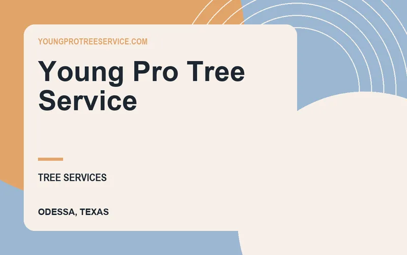 Young Pro Tree Service in Odessa, Texas