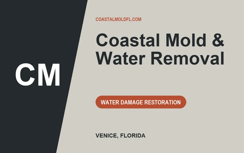 Coastal Mold & Water Removal in Venice, Florida