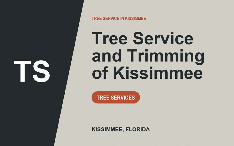 Tree Service and Trimming of Kissimmee in Kissimmee, Florida