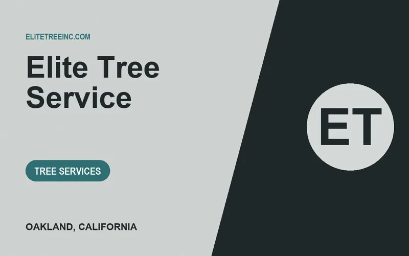 Elite Tree Service in Oakland, California