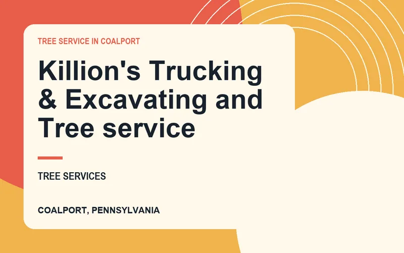 Killion's Trucking & Excavating and Tree service in Coalport, Pennsylvania
