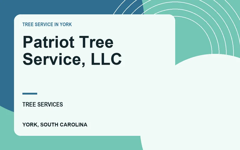 Patriot Tree Service, LLC in York, South Carolina