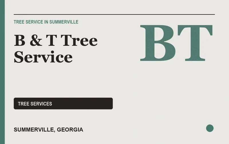 B & T Tree Service in Summerville, Georgia