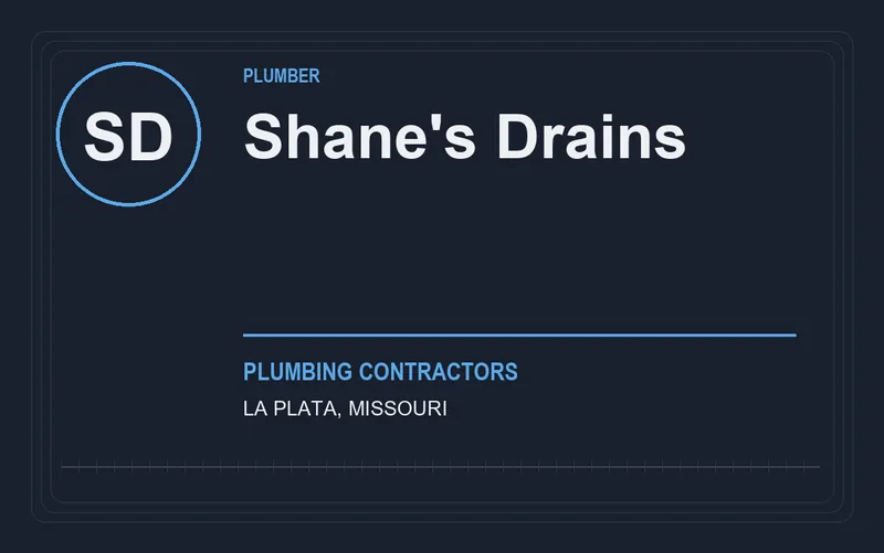 Shane's Drains in La Plata, Missouri