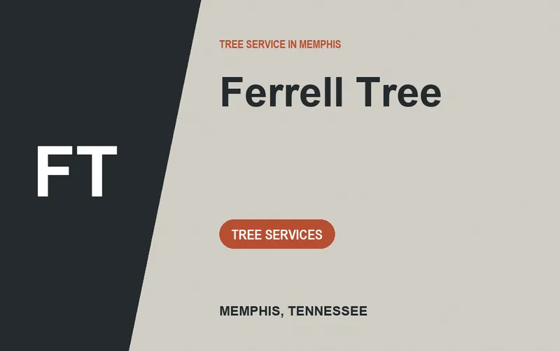 Ferrell Tree in Memphis, Tennessee