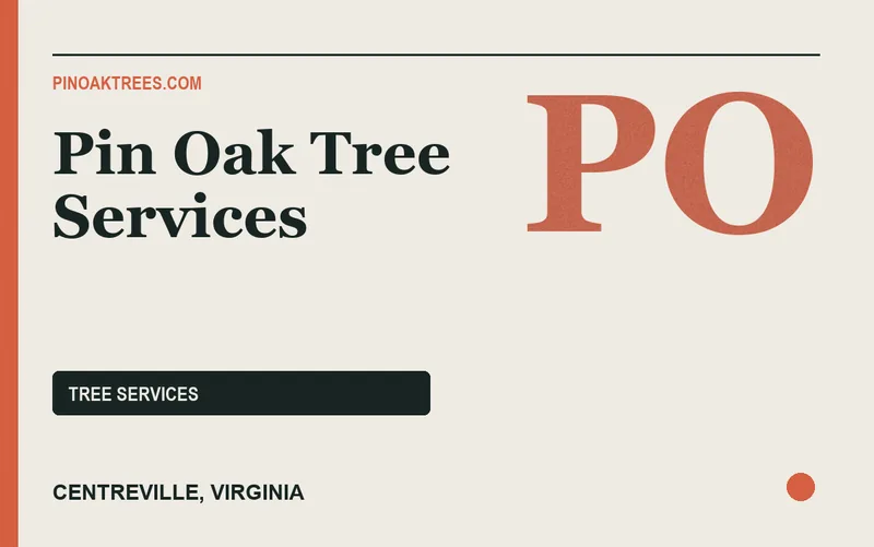 Pin Oak Tree Services in Centreville, Virginia
