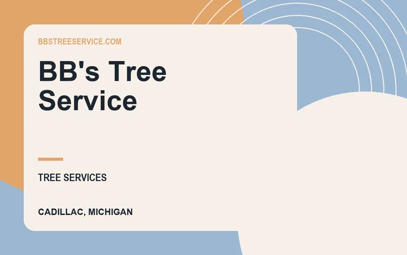 BB's Tree Service in Cadillac, Michigan