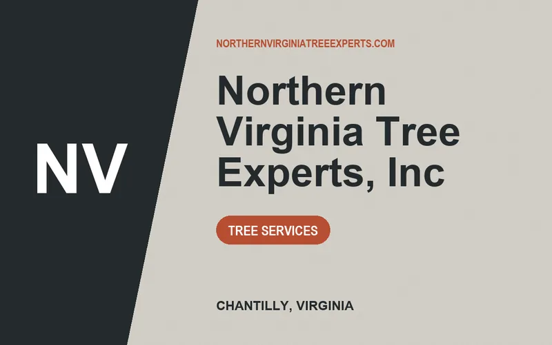 Northern Virginia Tree Experts, Inc in Chantilly, Virginia