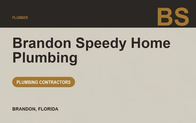 Brandon Speedy Home Plumbing in Brandon, Florida