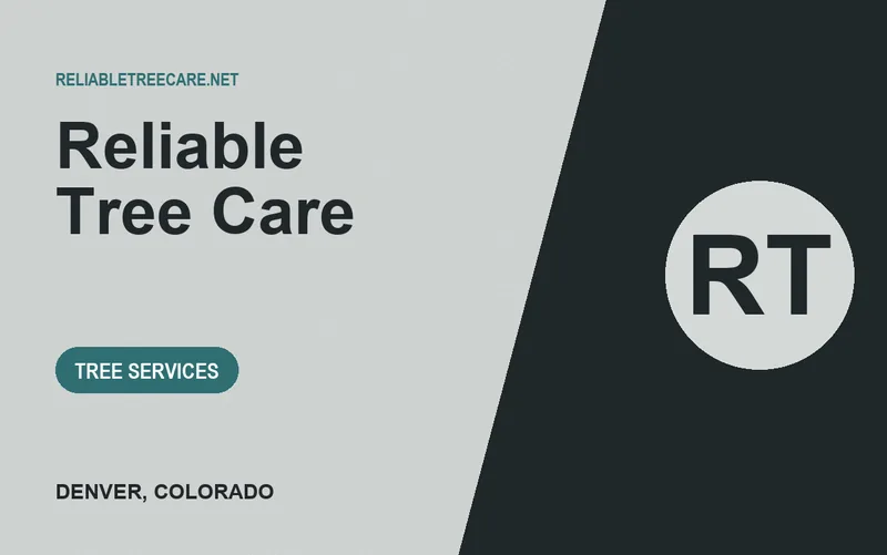 Reliable Tree Care in Denver, Colorado