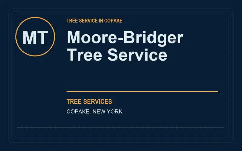 Moore-Bridger Tree Service in Copake, New York