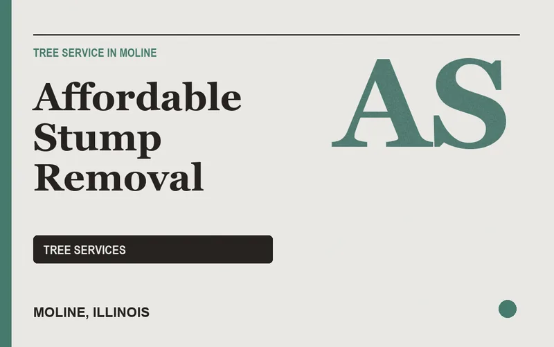 Affordable Stump Removal in Moline, Illinois