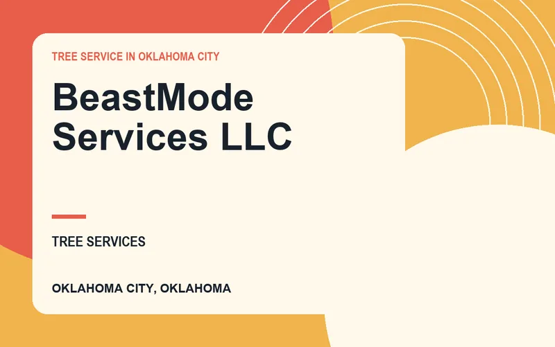 BeastMode Services LLC in Oklahoma City, Oklahoma