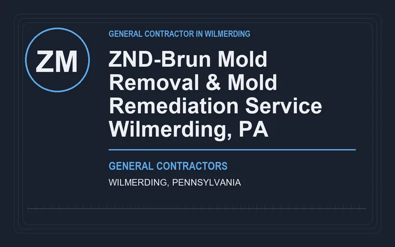 ZND-Brun Mold Removal & Mold Remediation Service Wilmerding, PA in Wilmerding, Pennsylvania