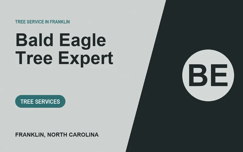 Bald Eagle Tree Expert in Franklin, North Carolina