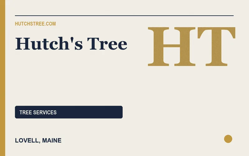 Hutch's Tree in Lovell, Maine