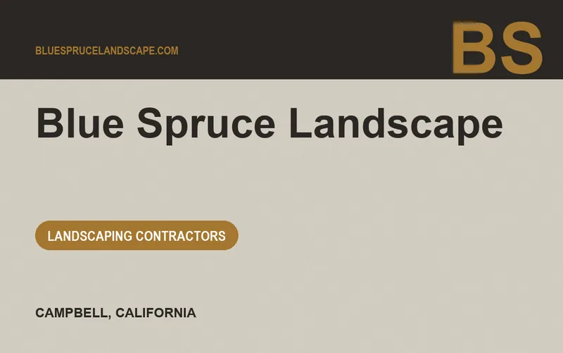 Blue Spruce Landscape in Campbell, California