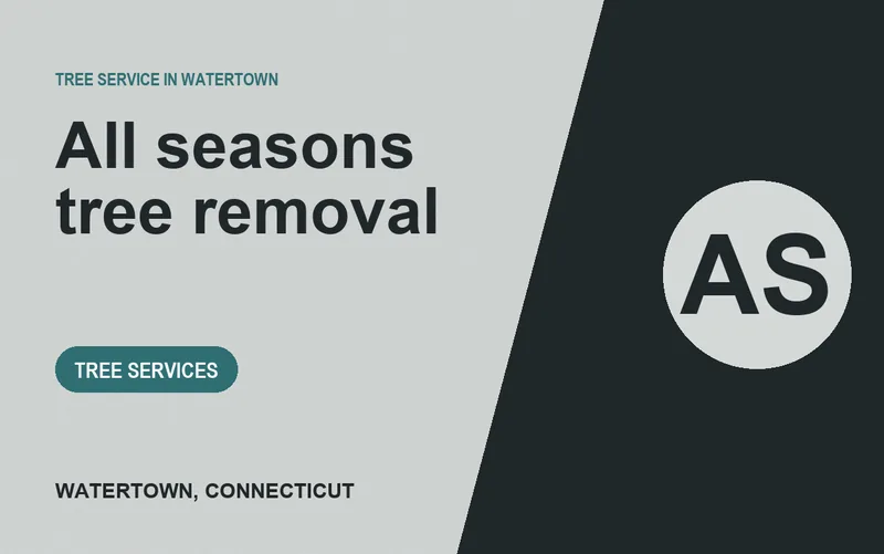 All seasons tree removal in Watertown, Connecticut