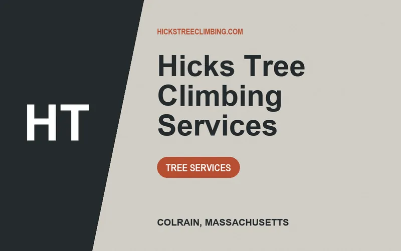 Hicks Tree Climbing Services in Colrain, Massachusetts