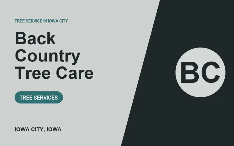 Back Country Tree Care in Iowa City, Iowa
