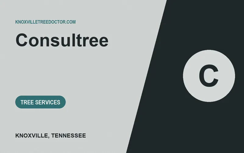 Consultree in Knoxville, Tennessee