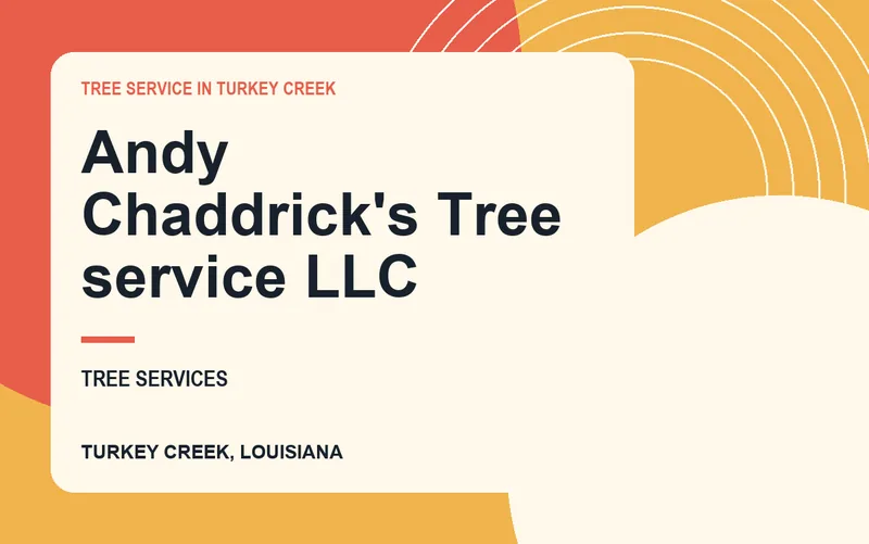 Andy Chaddrick's Tree service LLC in Turkey Creek, Louisiana