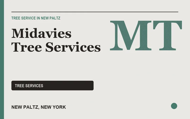 Midavies Tree Services in New Paltz, New York