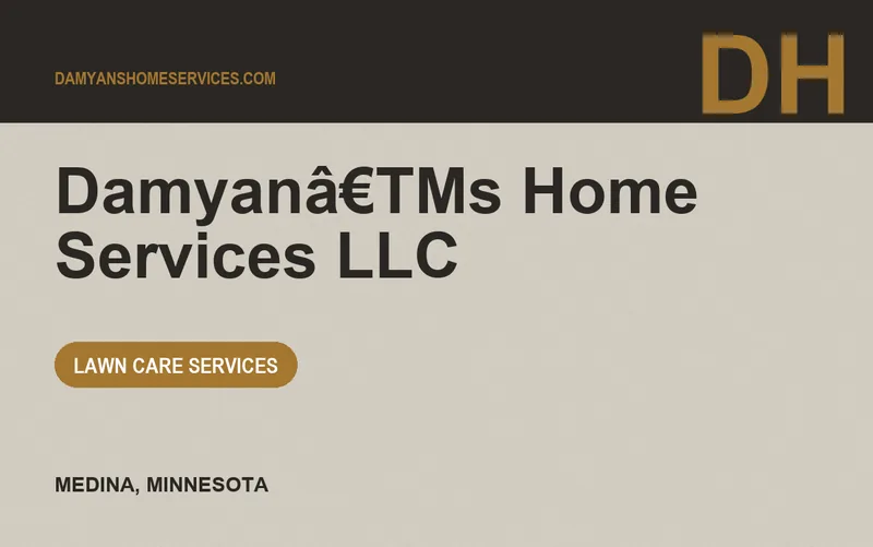 Damyanâ€TMs Home Services LLC in Medina, Minnesota