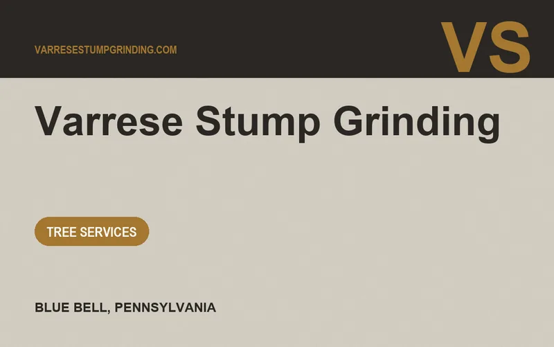 Varrese Stump Grinding in Blue Bell, Pennsylvania