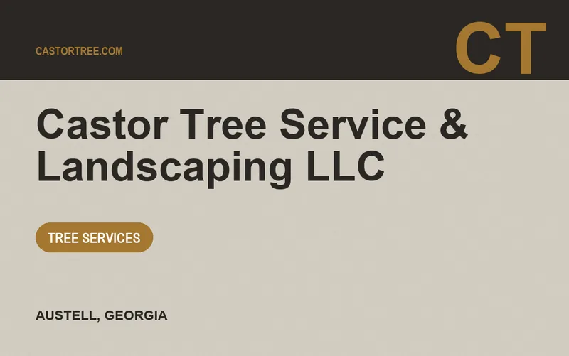 Castor Tree Service & Landscaping LLC in Austell, Georgia