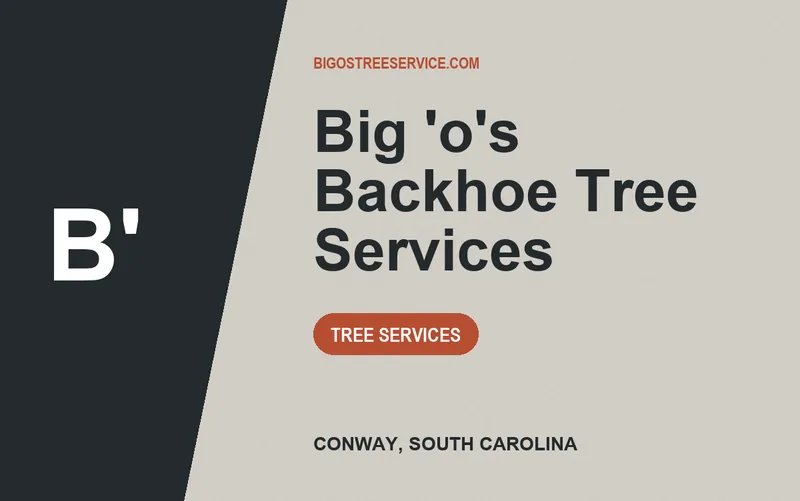 Big 'o's Backhoe Tree Services in Conway, South Carolina