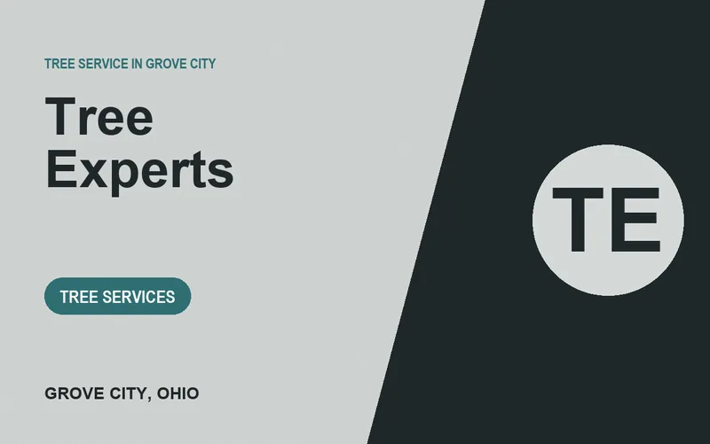 Tree Experts in Grove City, Ohio