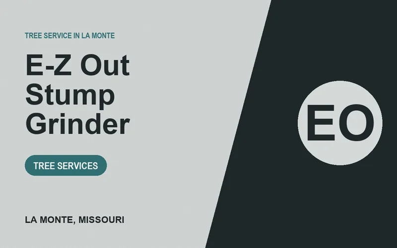 E-Z OUT STUMP GRINDER in La Monte, Missouri