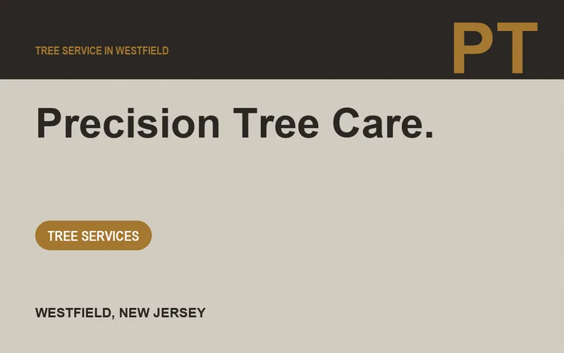 Precision Tree Care. in Westfield, New Jersey