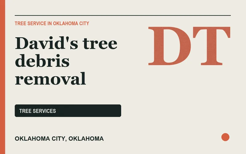 David's tree debris removal in Oklahoma City, Oklahoma
