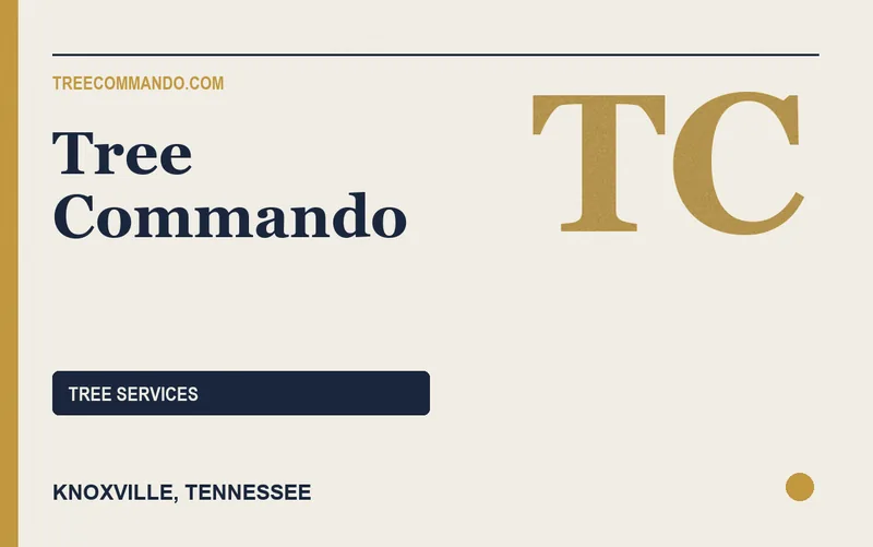 Tree Commando in Knoxville, Tennessee