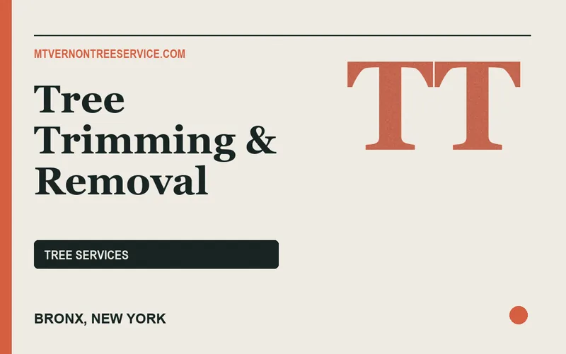 Tree Trimming & Removal in Bronx, New York