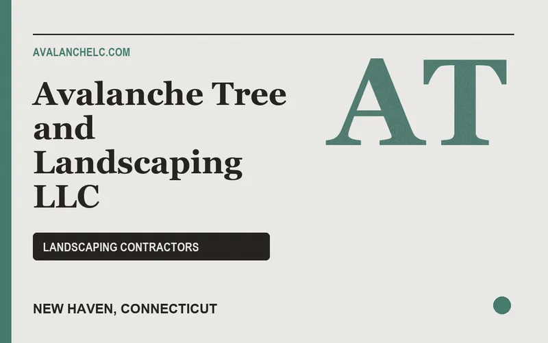 Avalanche Tree and Landscaping LLC in New Haven, Connecticut