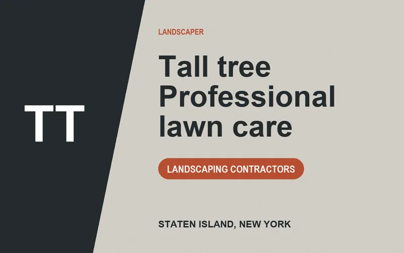 Tall tree Professional lawn care in Staten Island, New York