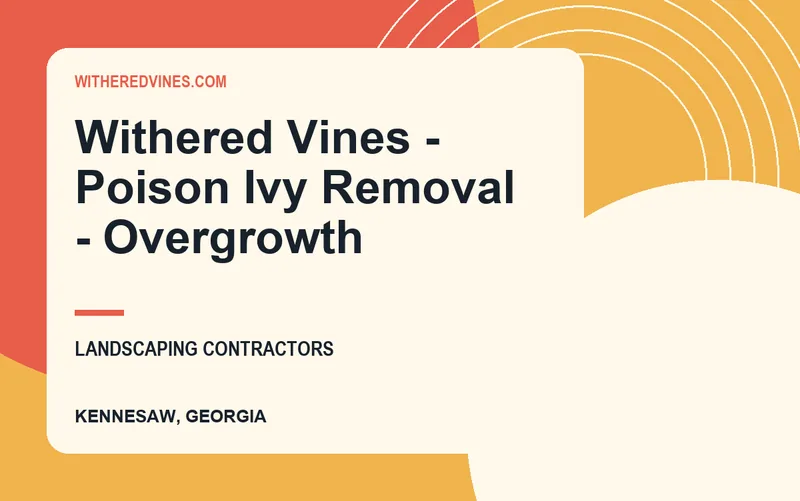 Withered Vines - Poison Ivy Removal - Overgrowth in Kennesaw, Georgia
