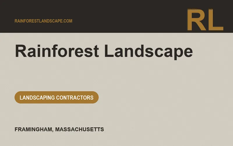 Rainforest Landscape in Framingham, Massachusetts