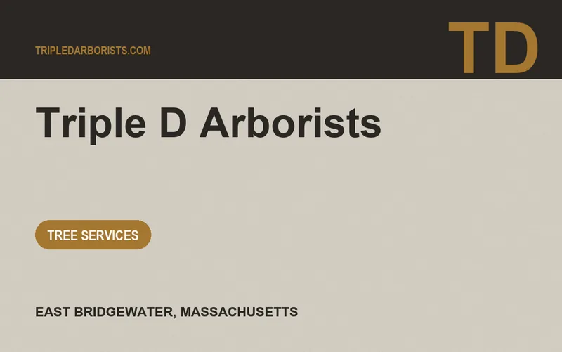 Triple D Arborists in East Bridgewater, Massachusetts