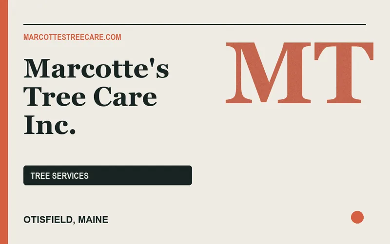 Marcotte's Tree Care Inc. in Otisfield, Maine