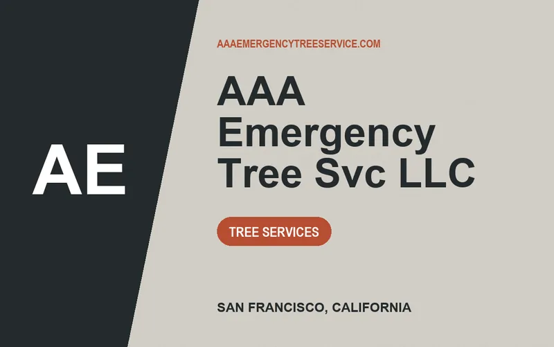 AAA Emergency Tree Svc LLC in San Francisco, California
