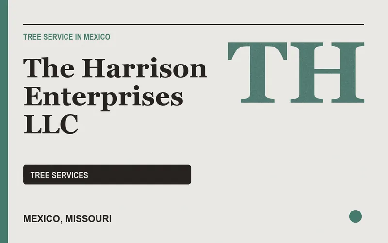 The Harrison Enterprises llc in Mexico, Missouri