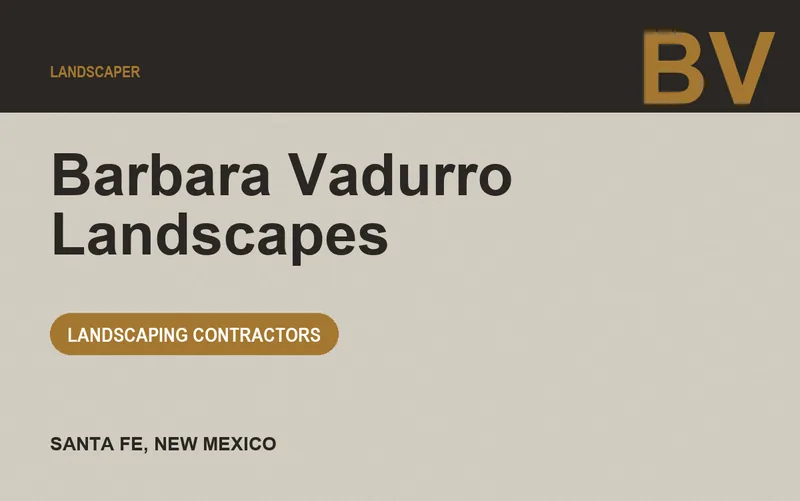 Barbara Vadurro Landscapes in Santa Fe, New Mexico