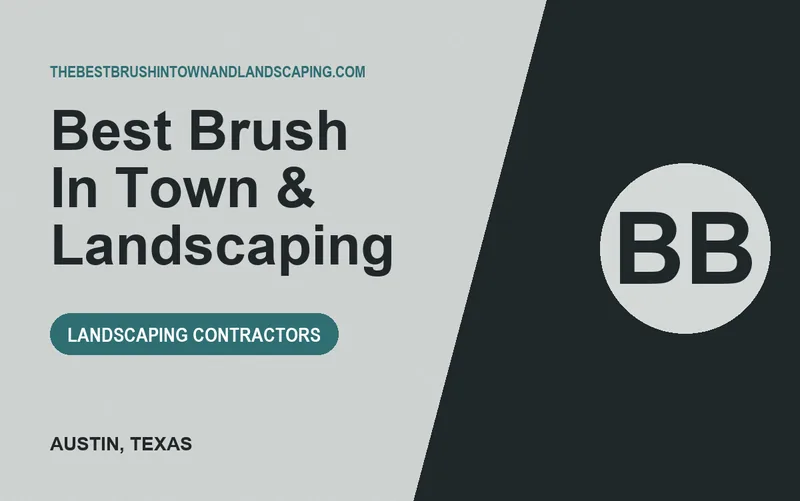 Best Brush In Town & Landscaping in Austin, Texas