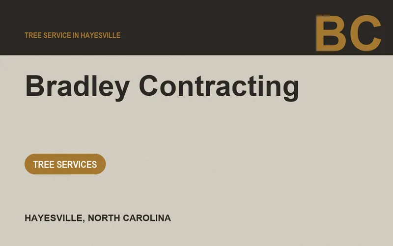 Bradley Contracting in Hayesville, North Carolina