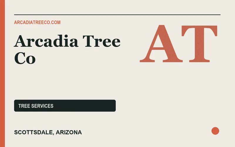 Arcadia Tree Co in Scottsdale, Arizona