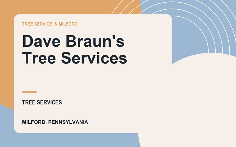 Dave Braun's Tree Services in Milford, Pennsylvania